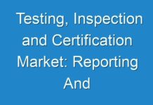 Testing, Inspection and Certification Market: Reporting And Evaluation Of Recent Industry Developments