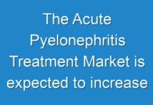 The Acute Pyelonephritis Treatment Market is expected to increase with the rise in the patient pool opting for drugs 2028