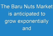 The Baru Nuts Market is anticipated to grow exponentially and register a CAGR of 25% through 2029