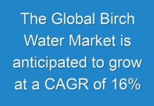 The Global Birch Water Market is anticipated to grow at a CAGR of 16% during the forecast period 2019-2029