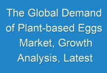The Global Demand of Plant-based Eggs Market, Growth Analysis, Latest Trends and Forecast till 2029