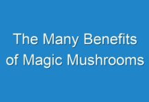 The Many Benefits of Magic Mushrooms