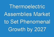 Thermoelectric Assemblies Market to Set Phenomenal Growth by 2027
