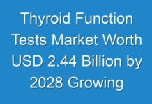Thyroid Function Tests Market Worth USD 2.44 Billion by 2028 Growing at 6.2% CAGR Says Reports And Data