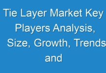 Tie Layer Market Key Players Analysis, Size, Growth, Trends and Forecast up to 2029