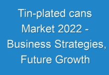 Tin-plated cans Market 2024 – Business Strategies, Future Growth Study, Competitive Landscape