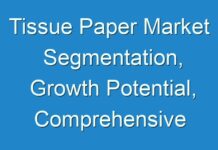 Tissue Paper Market Segmentation, Growth Potential, Comprehensive Analysis and Advancement towards 2027