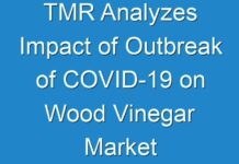 TMR Analyzes Impact of Outbreak of COVID-19 on Wood Vinegar Market