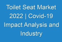 Toilet Seat Market 2024 | Covid-19 Impact Analysis and Industry Forecast Report Till 2030
