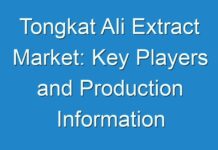 Tongkat Ali Extract Market: Key Players and Production Information analysis with Forecast 2029