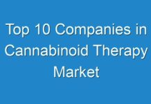 Top 10 Companies in Cannabinoid Therapy Market