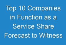 Top 10 Companies in Function as a Service Share Forecast to Witness Considerable Growth from 2017 To 2025
