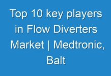 Top 10 key players in Flow Diverters Market | Medtronic, Balt Extrusion, MicroVention, Inc., and Stryker, among others