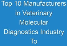 Top 10 Manufacturers in Veterinary Molecular Diagnostics Industry To Experience A Hike In Growth By 2030