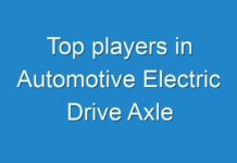 Top players in Automotive Electric Drive Axle