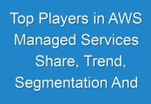 Top Players in AWS Managed Services Share, Trend, Segmentation And Forecast To 2026
