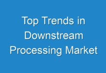 Top Trends in Downstream Processing Market