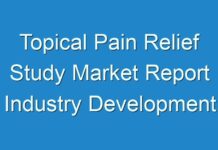 Topical Pain Relief Study Market Report Industry Development Scenario, Data Synthesis, Growth Analysis and Regional Overview by 2026
