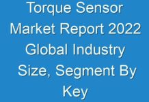 Torque Sensor Market Report 2024 Global Industry Size, Segment By Key Companies, Types, Applications And Forecast To 2030