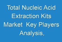 Total Nucleic Acid Extraction Kits Market Key Players Analysis, Size, Growth, Trends and Forecast up to 2028