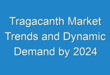 Tragacanth Market Trends and Dynamic Demand by 2024