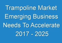 Trampoline Market Emerging Business Needs To Accelerate 2017 – 2025