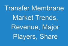 Transfer Membrane Market Trends, Revenue, Major Players, Share Analysis & Forecast Till 2028