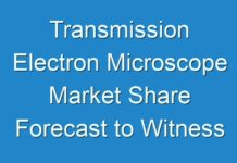 Transmission Electron Microscope Market Share Forecast to Witness Considerable Growth from 2017 To 2025
