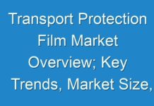 Transport Protection Film Market Overview; Key Trends, Market Size, and Key Factors Defining the Industry