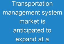 Transportation management system market is anticipated to expand at a healthy CAGR of 14.3% during the period from 2024 to 2030