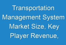 Transportation Management System Market Size, Key Player Revenue, SWOT, PEST & Porter’s Analysis For 2018–2027