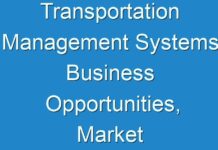 Transportation Management Systems Business Opportunities, Market Size, Growth, Revenue & Forecast 2030
