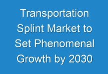 Transportation Splint Market to Set Phenomenal Growth by 2030