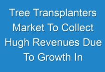 Tree Transplanters Market To Collect Hugh Revenues Due To Growth In Demand by 2028