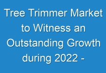 Tree Trimmer Market to Witness an Outstanding Growth during 2024 – 2031