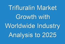 Trifluralin Market Growth with Worldwide Industry Analysis to 2025