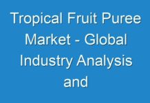 Tropical Fruit Puree Market – Global Industry Analysis and Opportunity Assessment 2017 – 2025