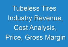 Tubeless Tires Industry Revenue, Cost Analysis, Price, Gross Margin And Top Manufactures Prediction 2024 To 2031