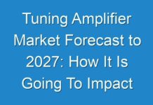 Tuning Amplifier Market Forecast to 2027: How It Is Going To Impact on Industry to Grow In Near Future