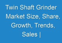 Twin Shaft Grinder Market Size, Share, Growth, Trends, Sales | Industry Report, Forecast 2025; COVID-19 to Affect Future Growth Trajectory
