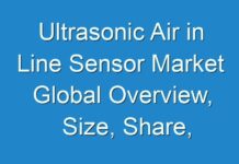 Ultrasonic Air in Line Sensor Market Global Overview, Size, Share, COVID – 19 Outbreak and Forecast to 2025