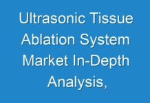 Ultrasonic Tissue Ablation System Market In-Depth Analysis, Specifications and Forecast | COVID-19 Impact