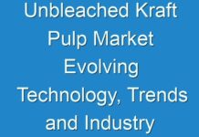 Unbleached Kraft Pulp Market Evolving Technology, Trends and Industry Analysis: 2026