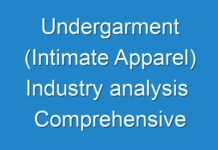 Undergarment (Intimate Apparel) Industry analysis Comprehensive Evaluation Of The Market Via In-Depth Qualitative Insights 2024-2031