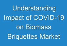 Understanding Impact of COVID-19 on Biomass Briquettes Market