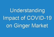 Understanding Impact of COVID-19 on Ginger Market