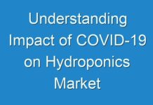 Understanding Impact of COVID-19 on Hydroponics Market
