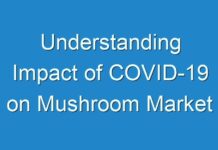 Understanding Impact of COVID-19 on Mushroom Market