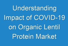 Understanding Impact of COVID-19 on Organic Lentil Protein Market