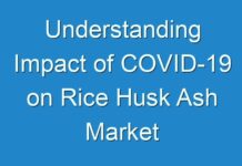 Understanding Impact of COVID-19 on Rice Husk Ash Market